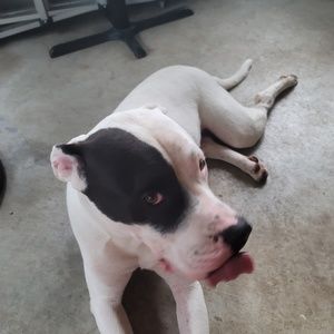 Meet your Posher, Isabel